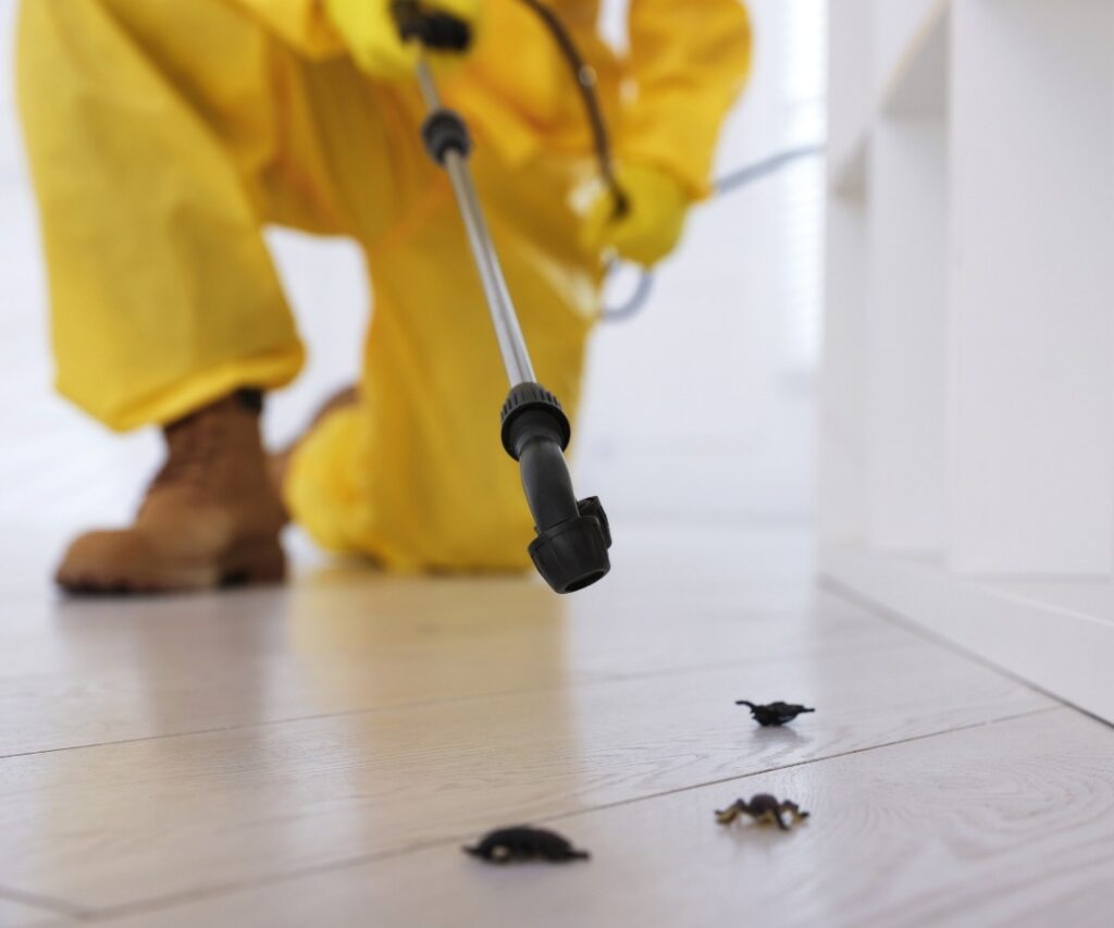 Pest Control Blacktown