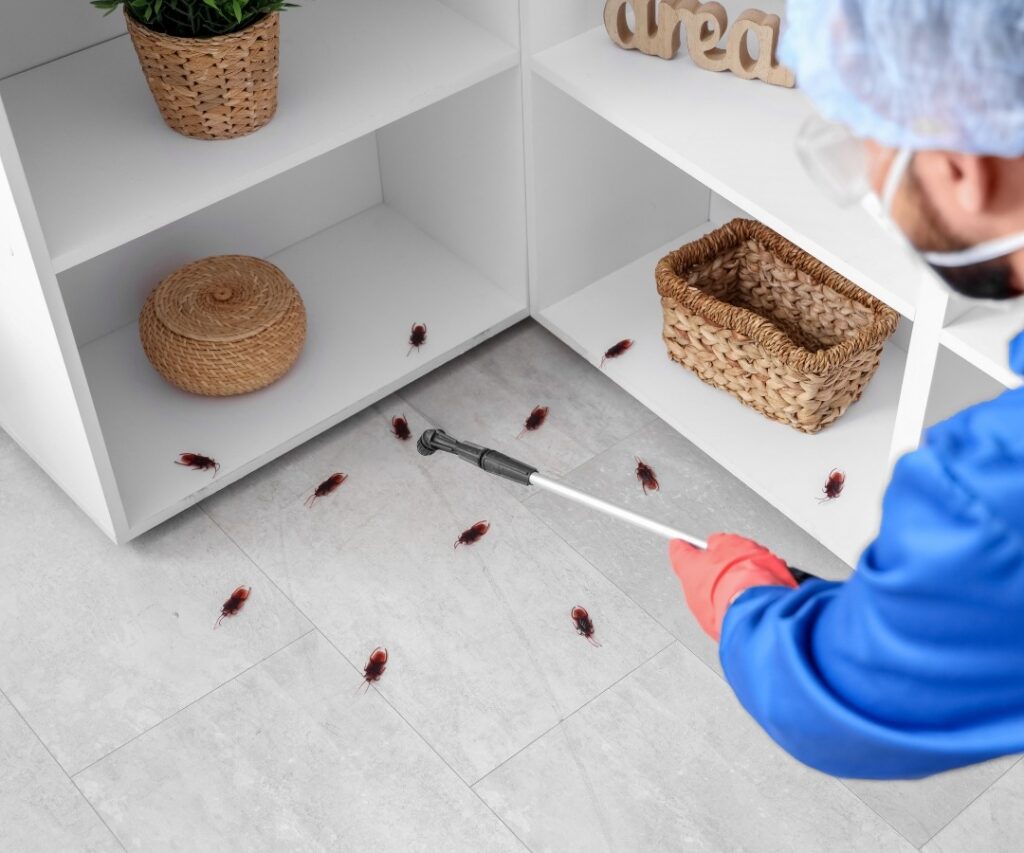 Pest Control Liverpool NSW