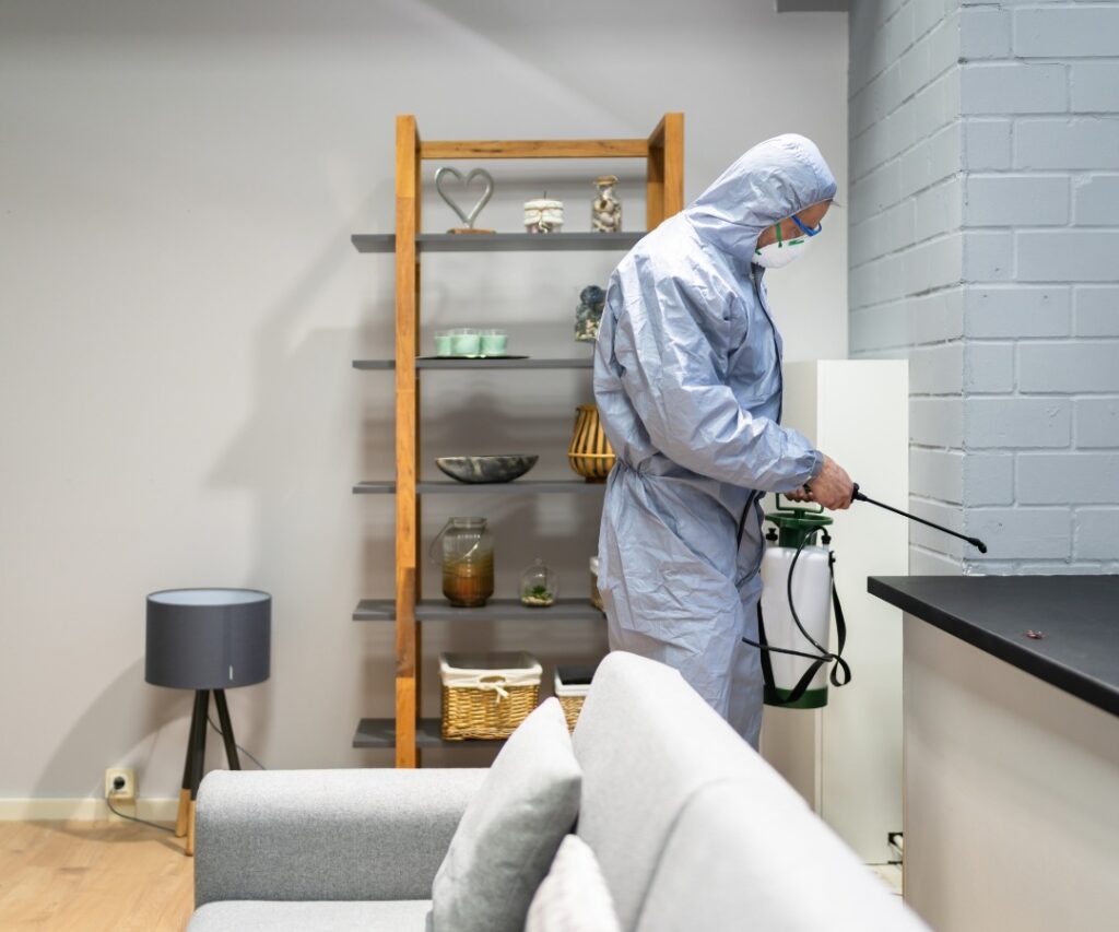 Pest Control Parramatta