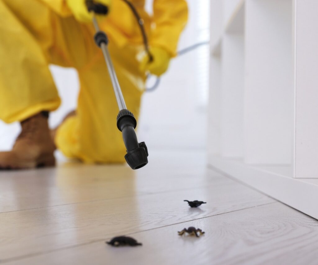 Pest Exterminator Sydney