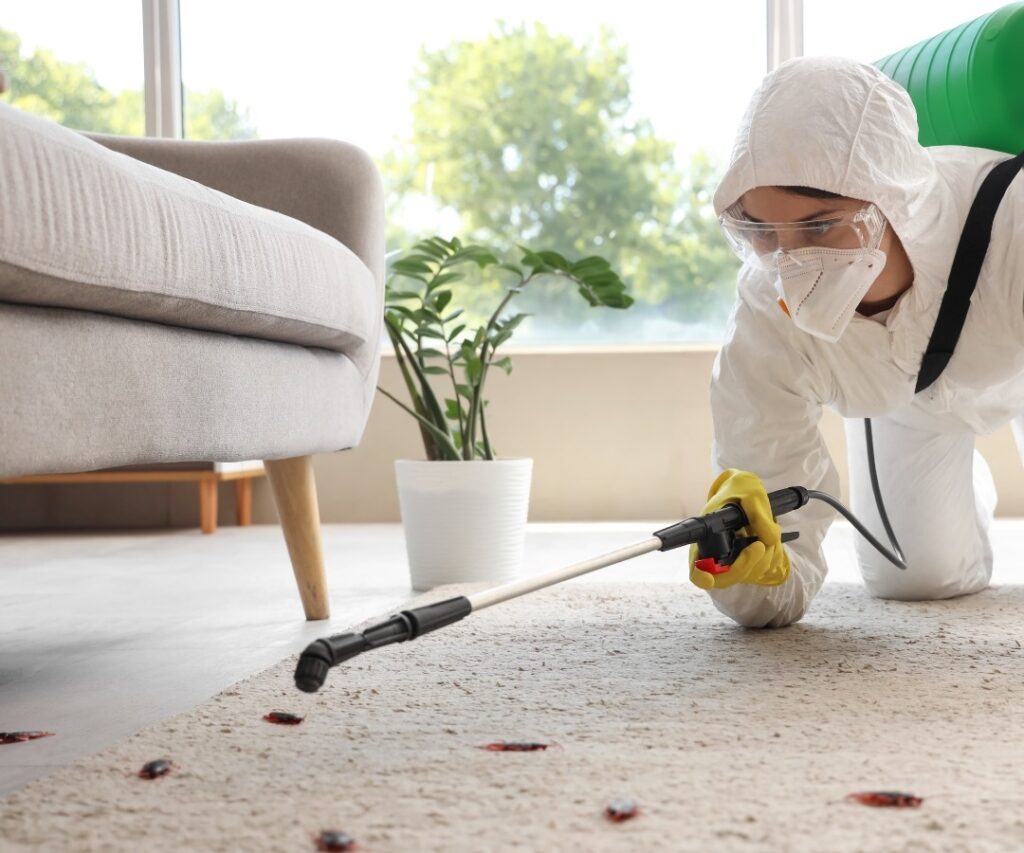 Pest Removal Services Sydney